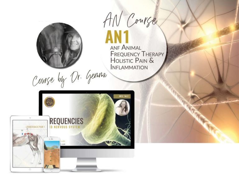 ANF Animal AN1 Course