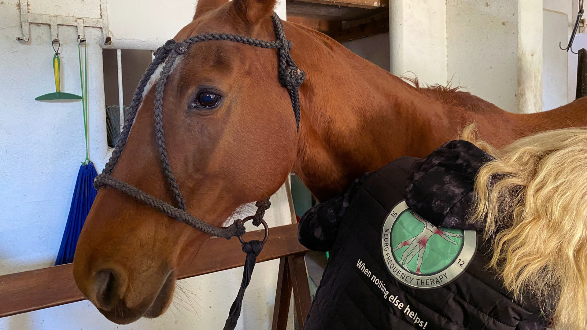 Benefits of ANF Animal Therapy®