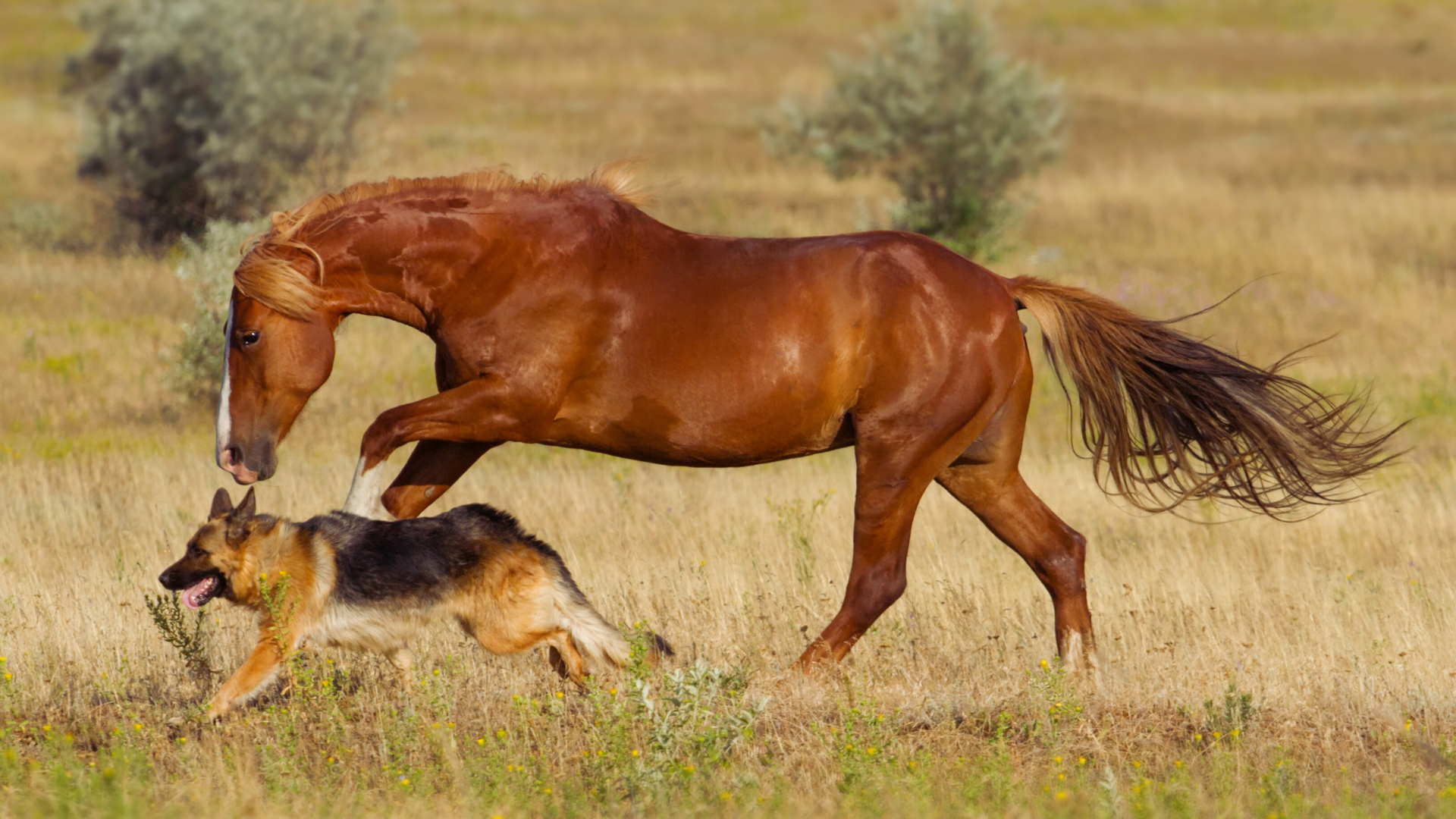 How Frequency Therapy Supports Recovery