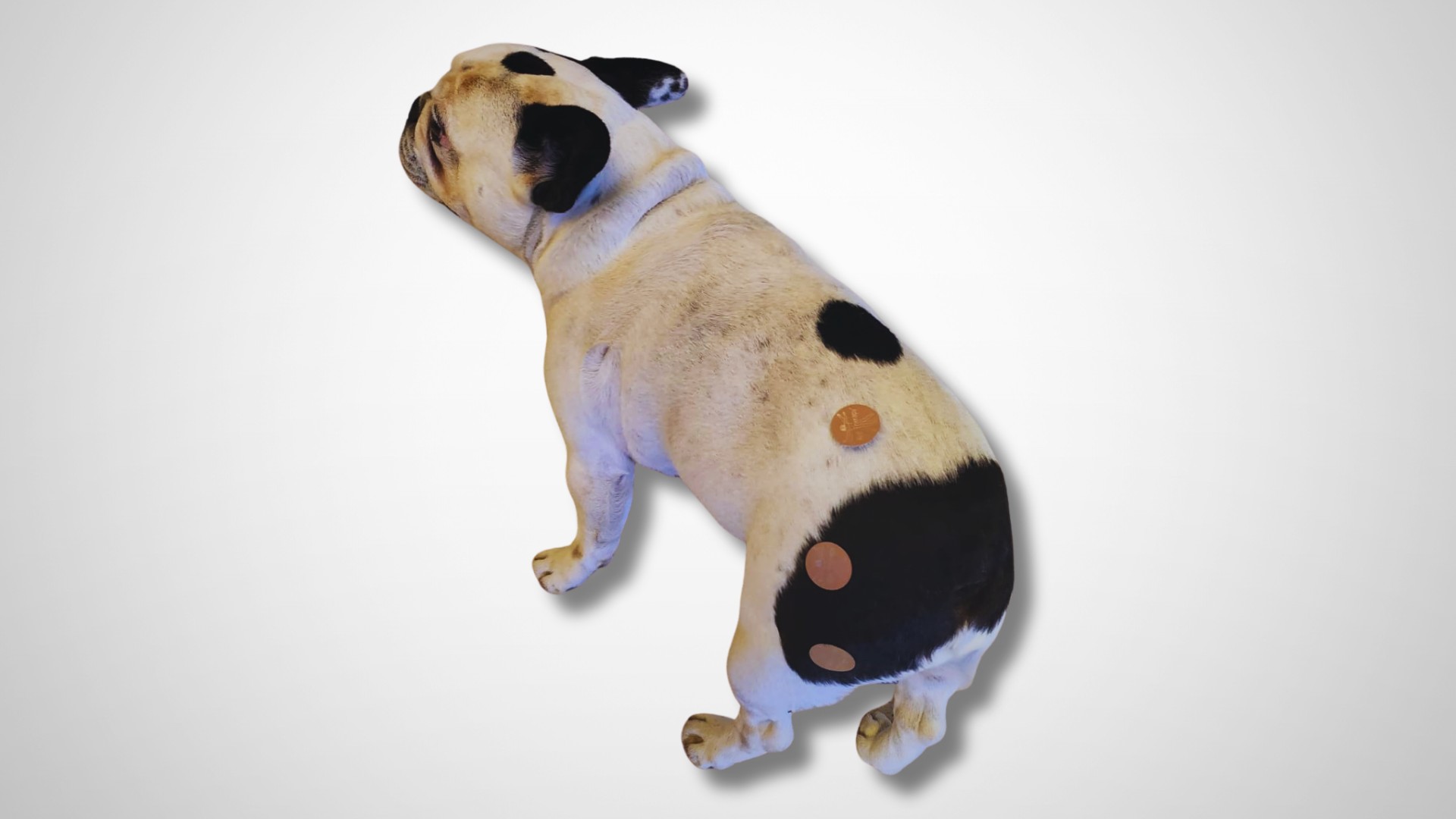 Treatment Options for Allergy-Related Vomiting