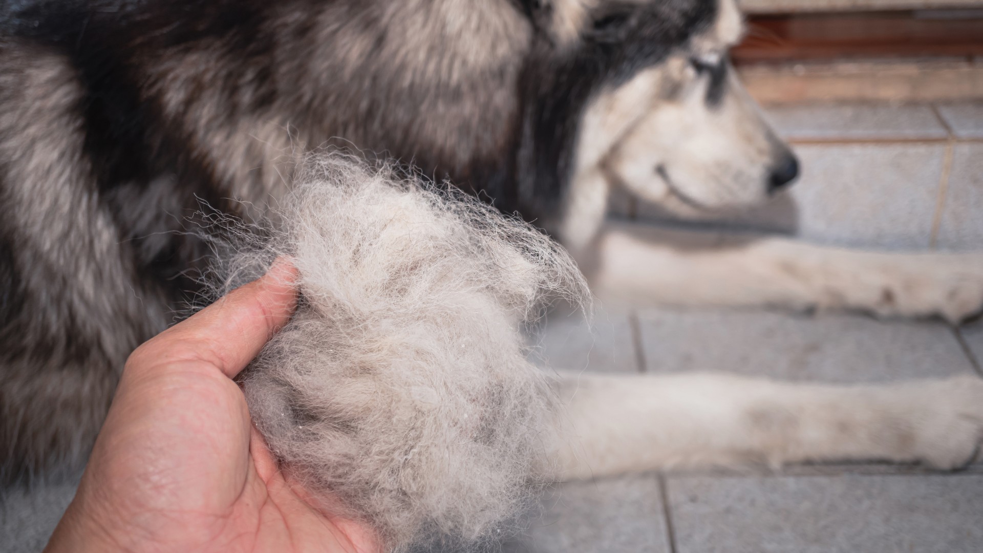 How Frequency-Based Therapy Helps Manage Allergy-Related Hair Loss