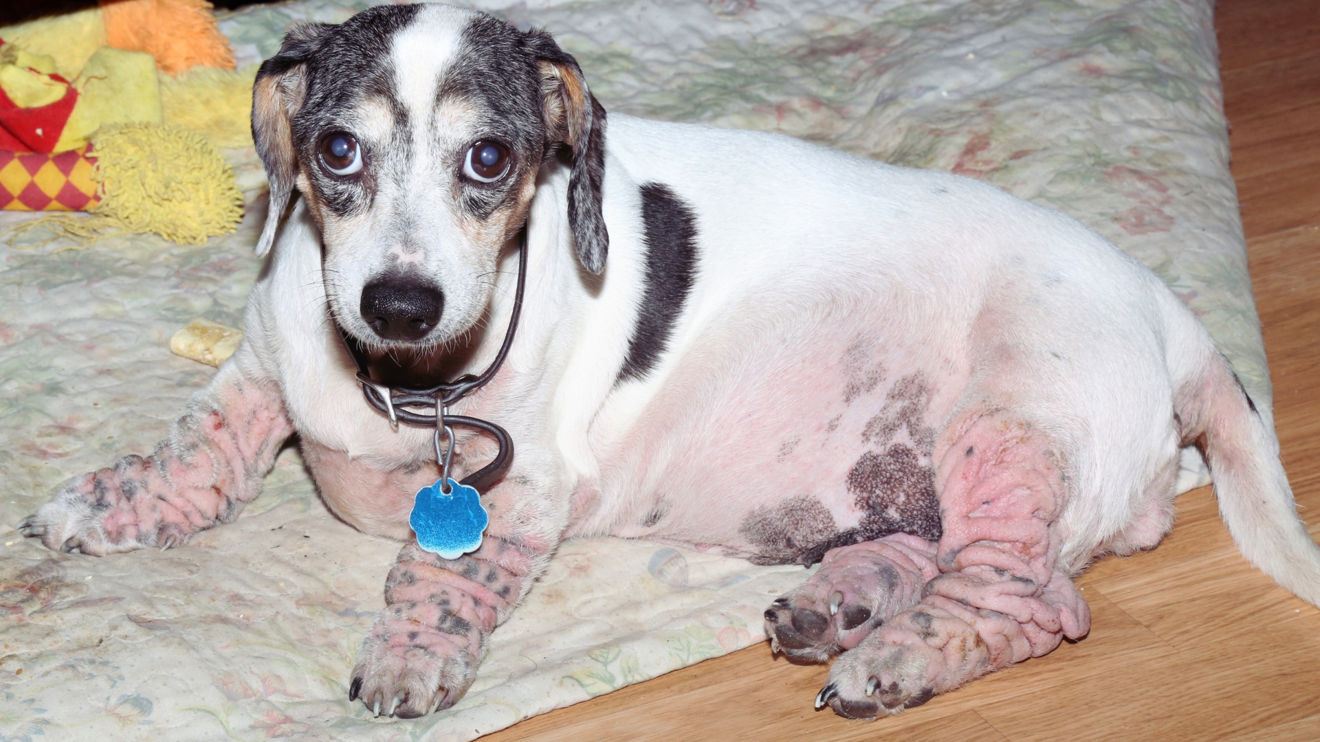 Supportive Care and Lifestyle Changes