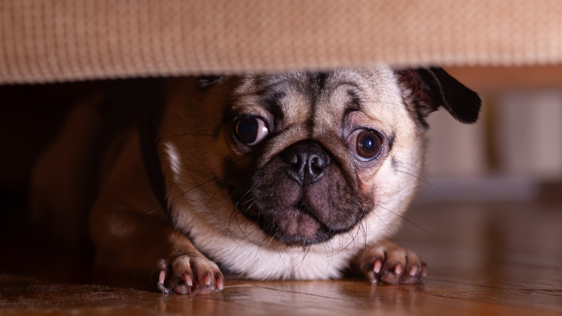 Avoidance or Hiding