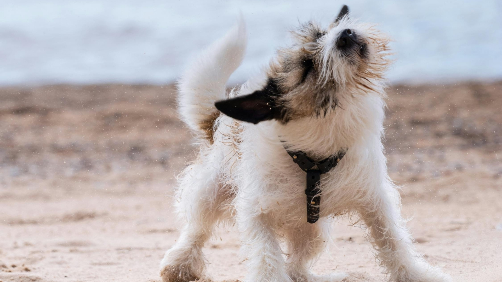 Common Physical Causes Itching