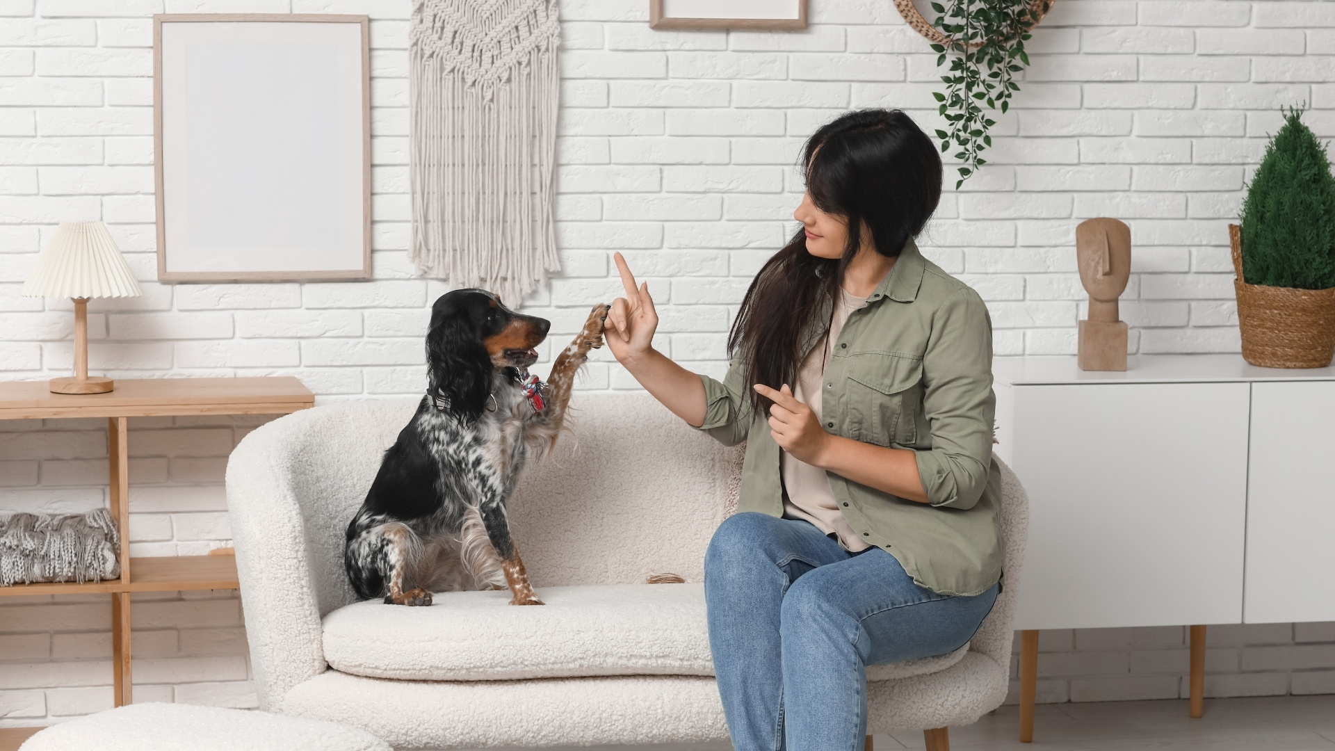 Positive Behavioral Training