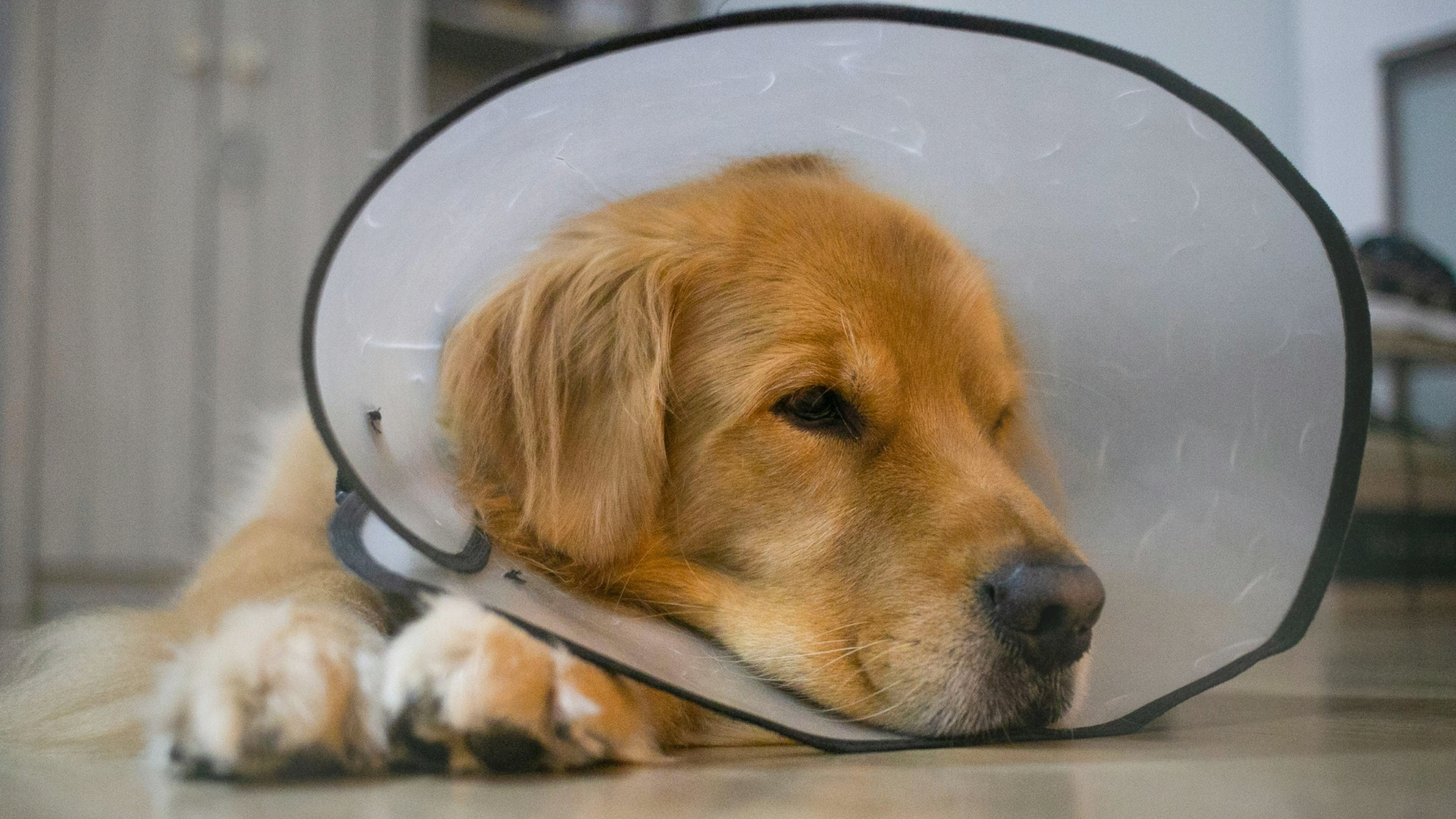 Preventing Self-Trauma