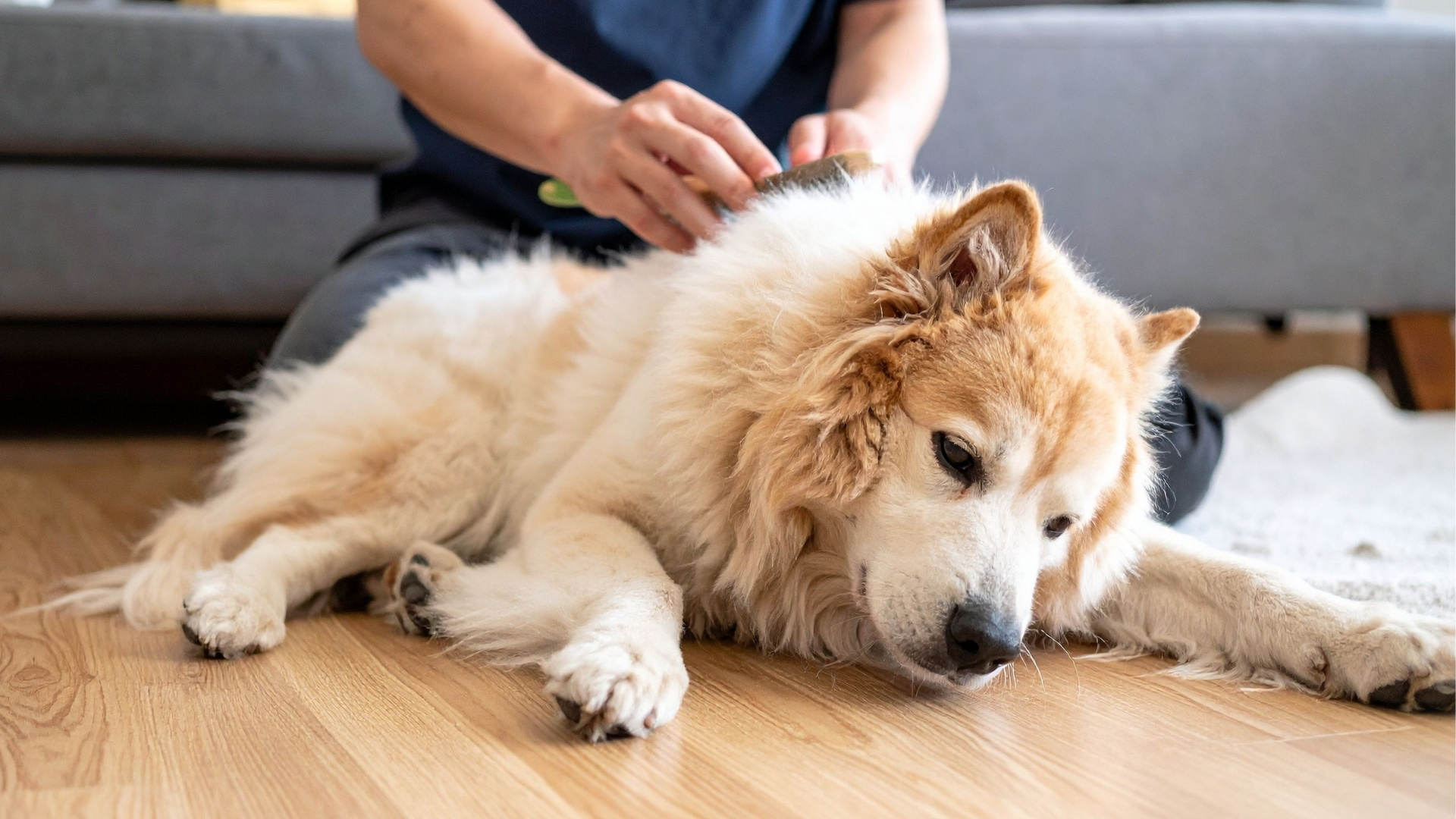 Prevention Tips for Anxiety-Related Itching